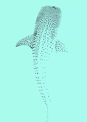 Whale Shark Illustration on Teal Background