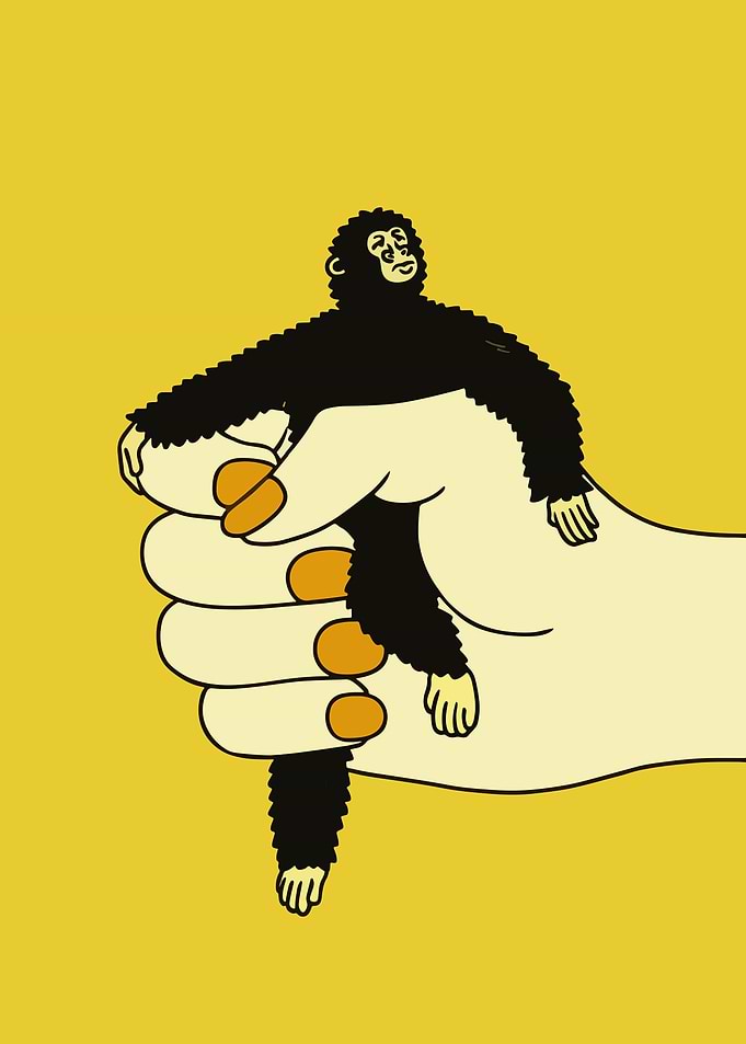 Chimpanzee in Hand Illustration