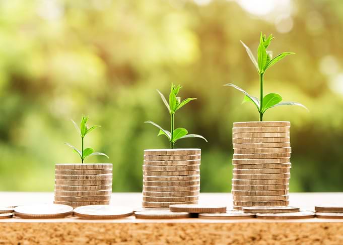 Money Growth Concept with Plants