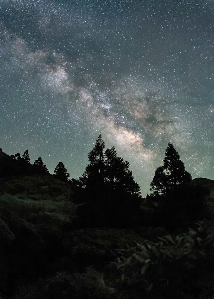 Milky Way over Dark Forest