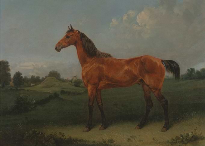 Horse Portrait in Landscape Painting