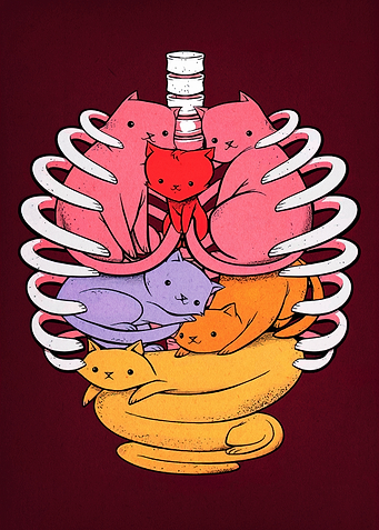 Anatomical Cat Ribcage Illustration