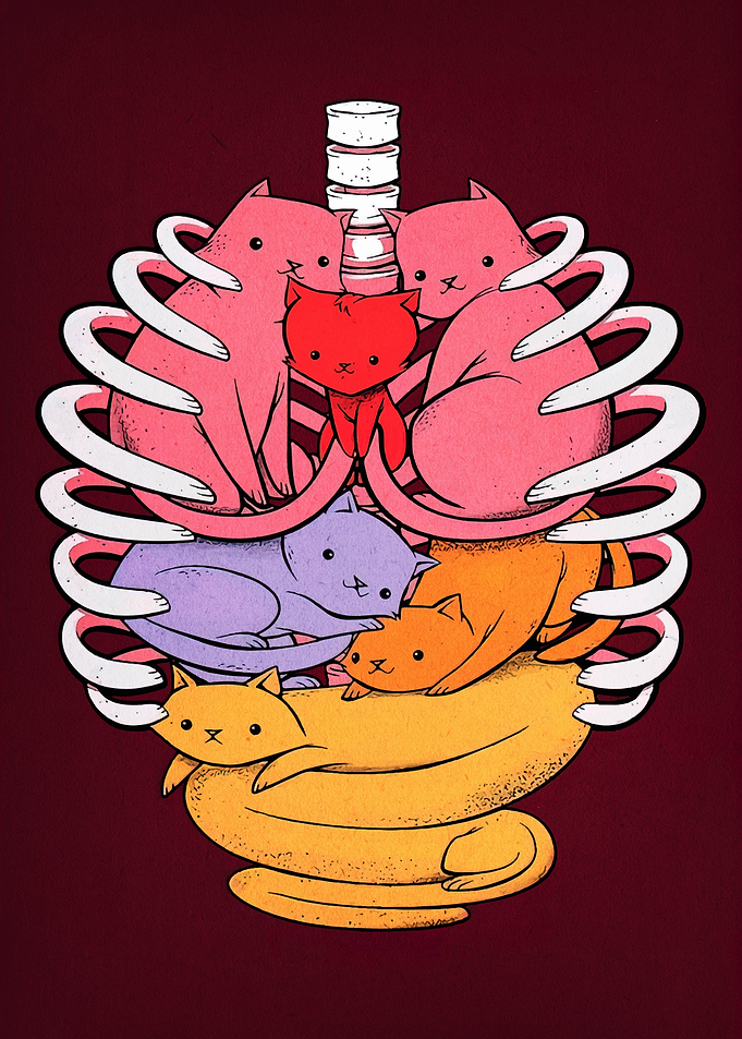 Anatomical Cat Ribcage Illustration