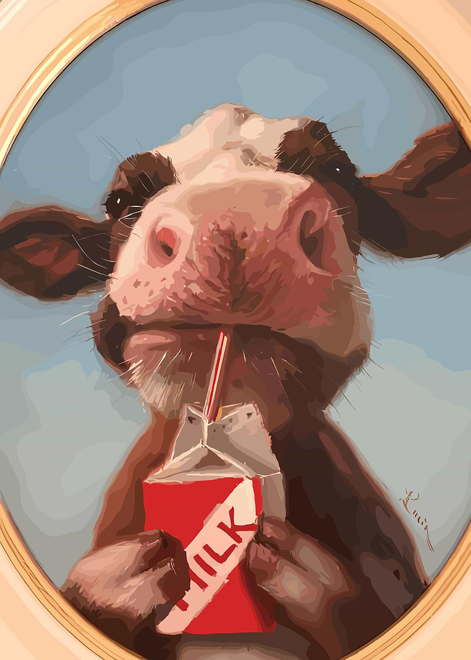 Cow Drinking Milk
