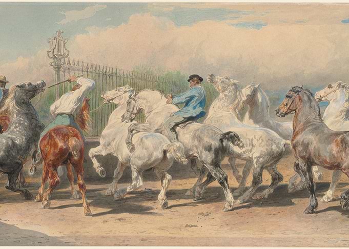 Watercolor Painting of Horses in Motion