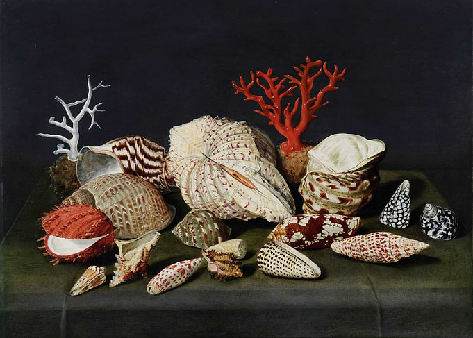 Still Life with Seashells and Coral