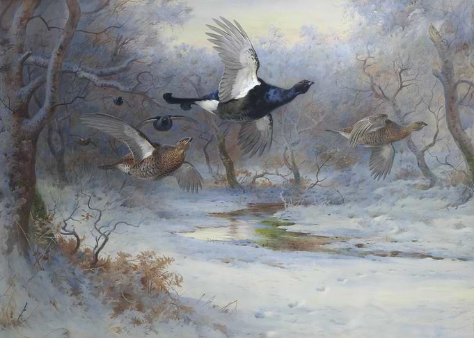 Birds Flying Over Snowy Landscape Painting