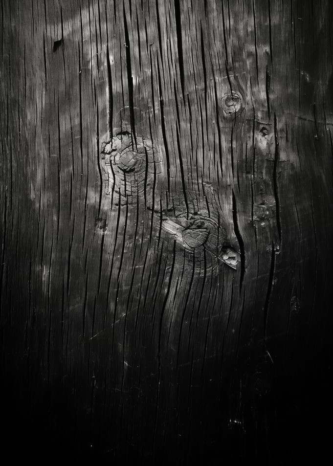Monochrome Wood Texture
