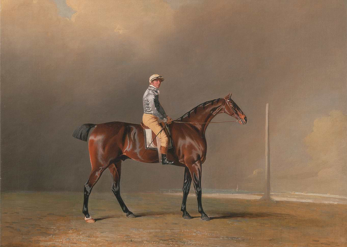 Equestrian Portrait: Jockey and Horse
