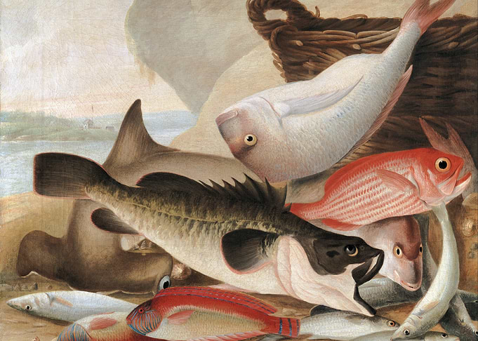 Still Life with Fish