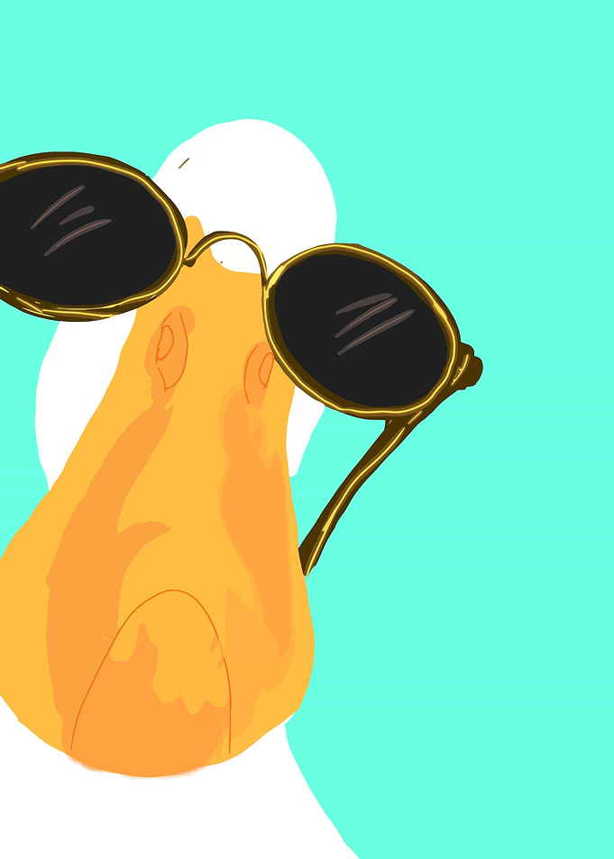 Cool Duck with Sunglasses Illustration