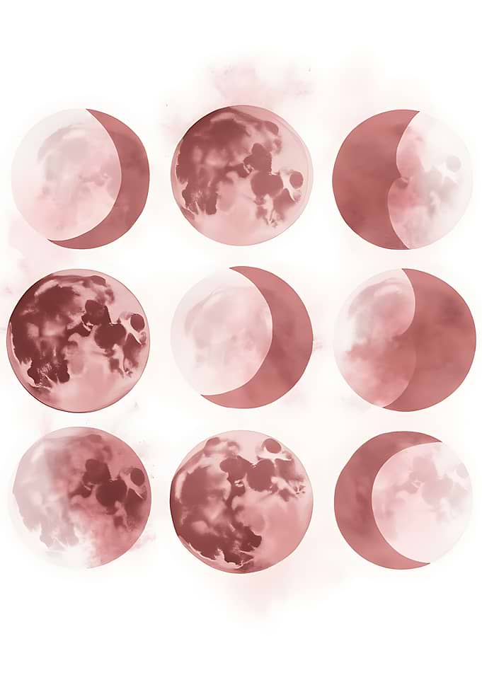 Moon Phases in Rose Tones