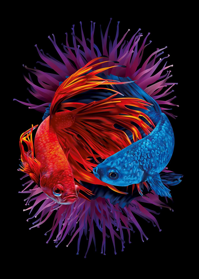 Red and Blue Betta Fish Illustration