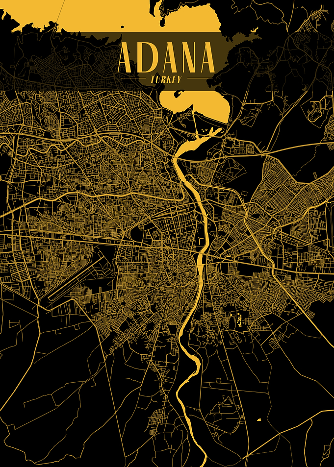 Adana Golden Map Art