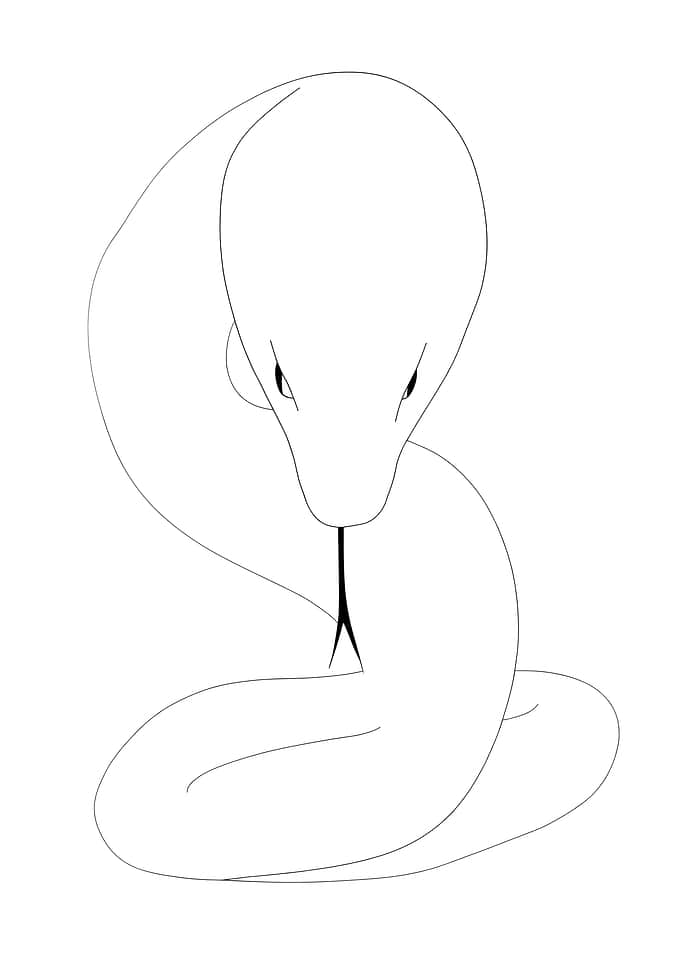 Minimalist Mythical Huge Snake Line Art Drawing