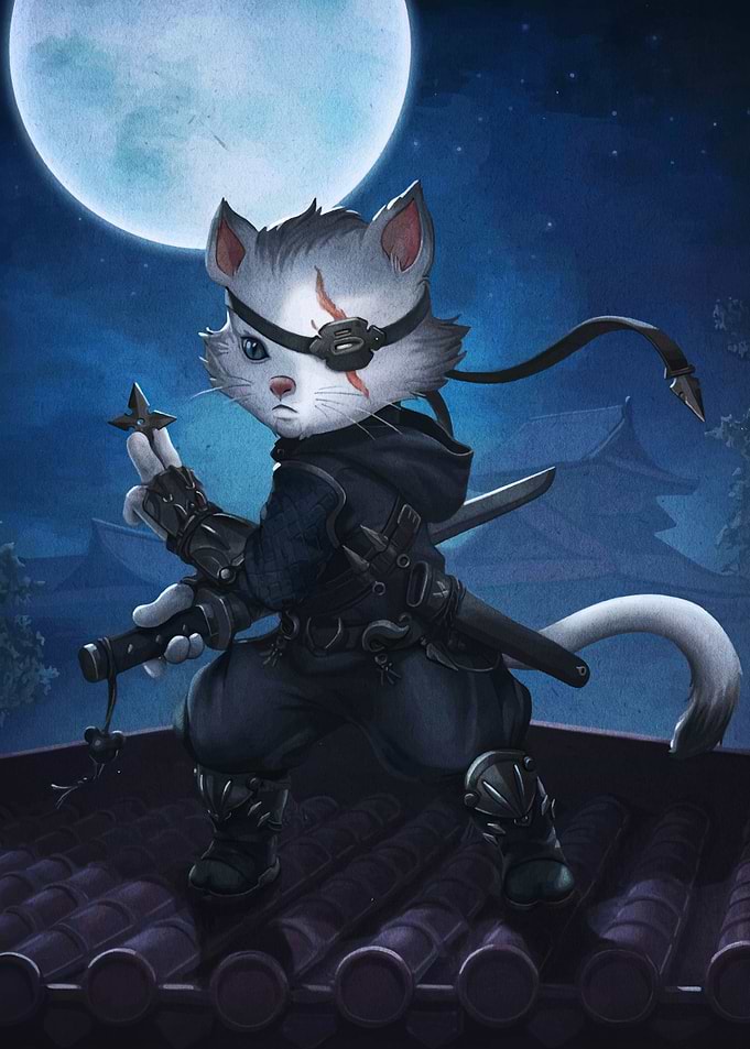 Ninja Cat on Rooftop
