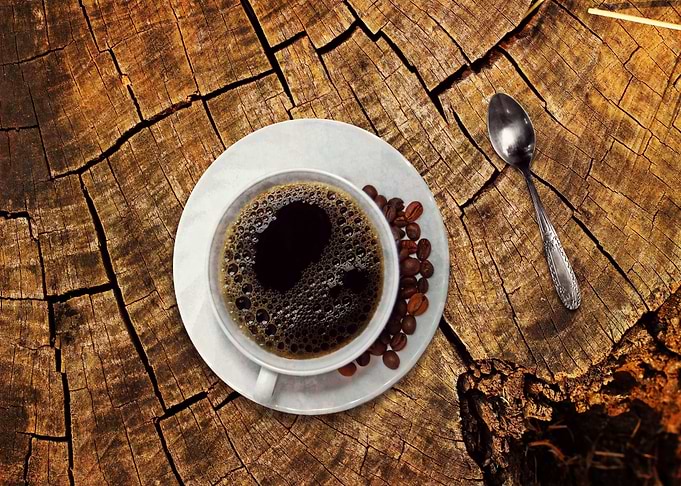 Coffee cup on a tree trunk