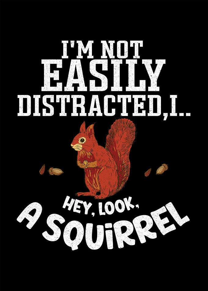 I'm Not Easily Distracted Squirrel