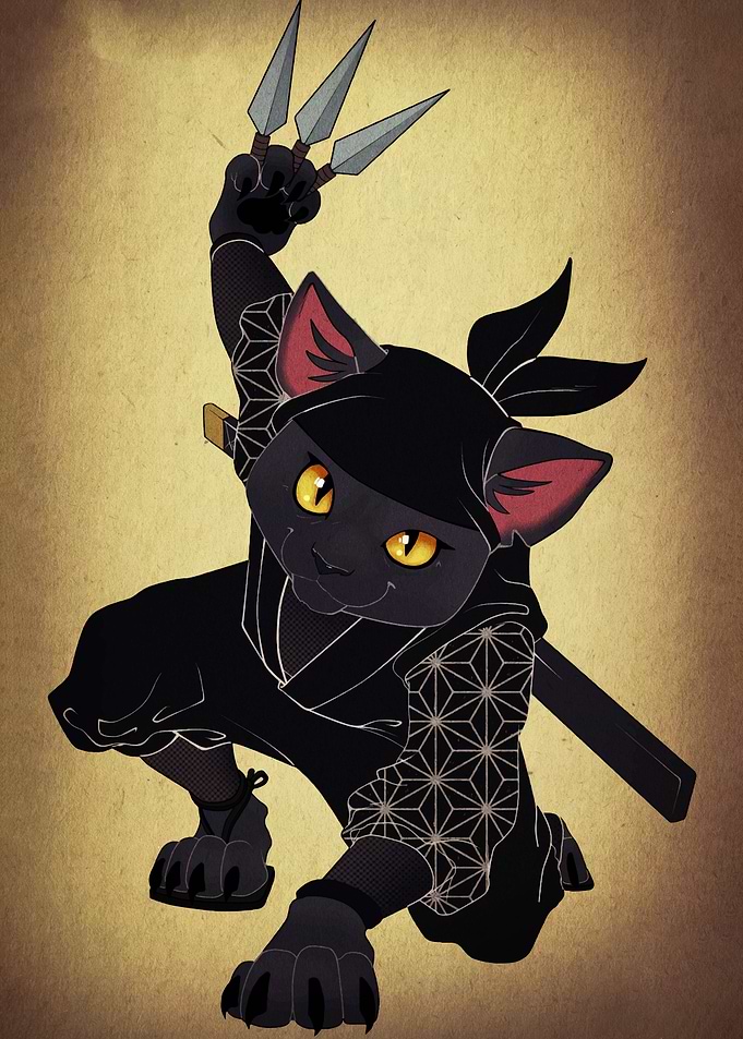 Ninja Cat with Throwing Stars