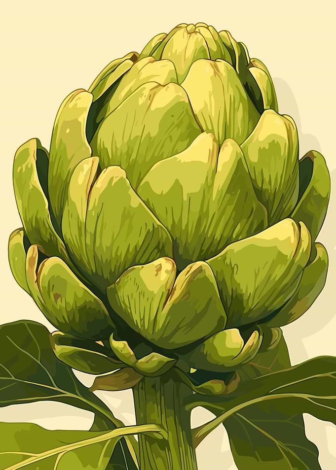 Artichoke Illustration