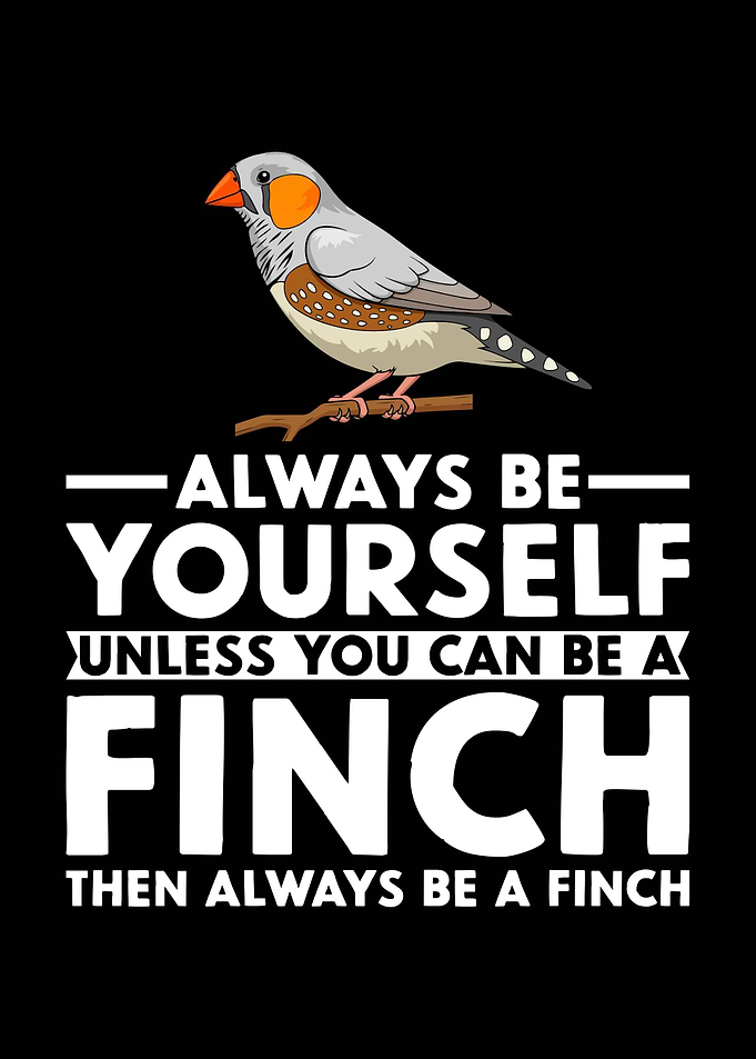 Always Be Yourself Finch