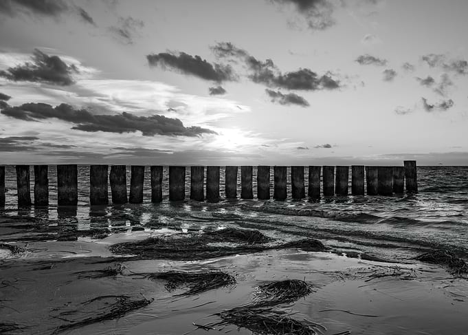 Monochrome Seascape with Wooden Posts