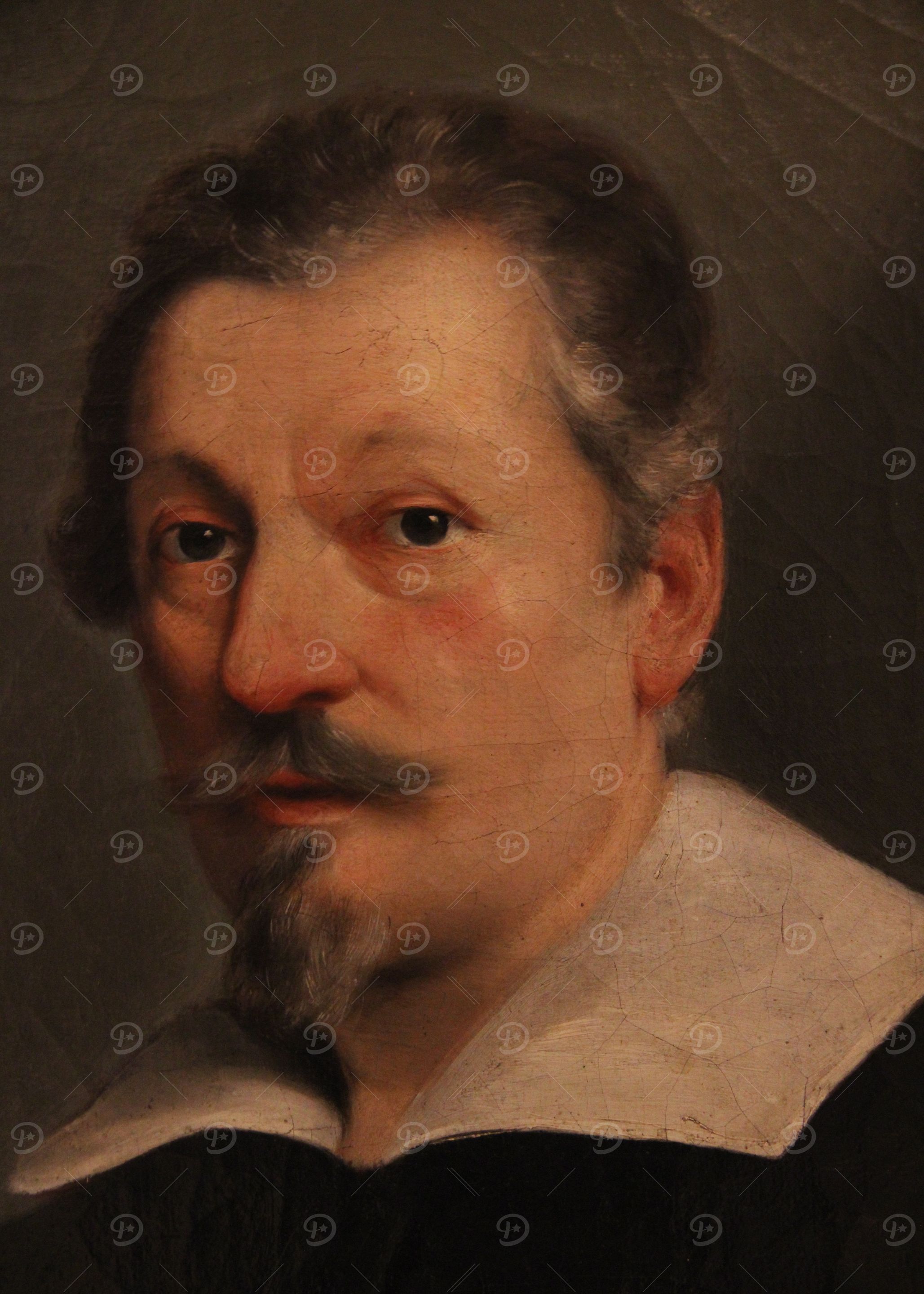 Portrait of a Man with Beard