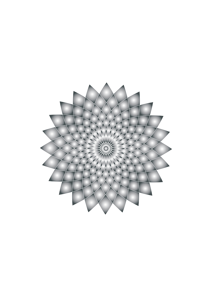 Abstract Silver Geometric Floral Pattern