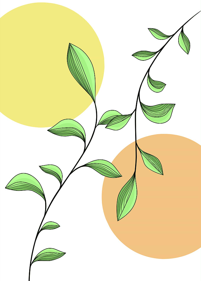 Botanical Illustration with Circles