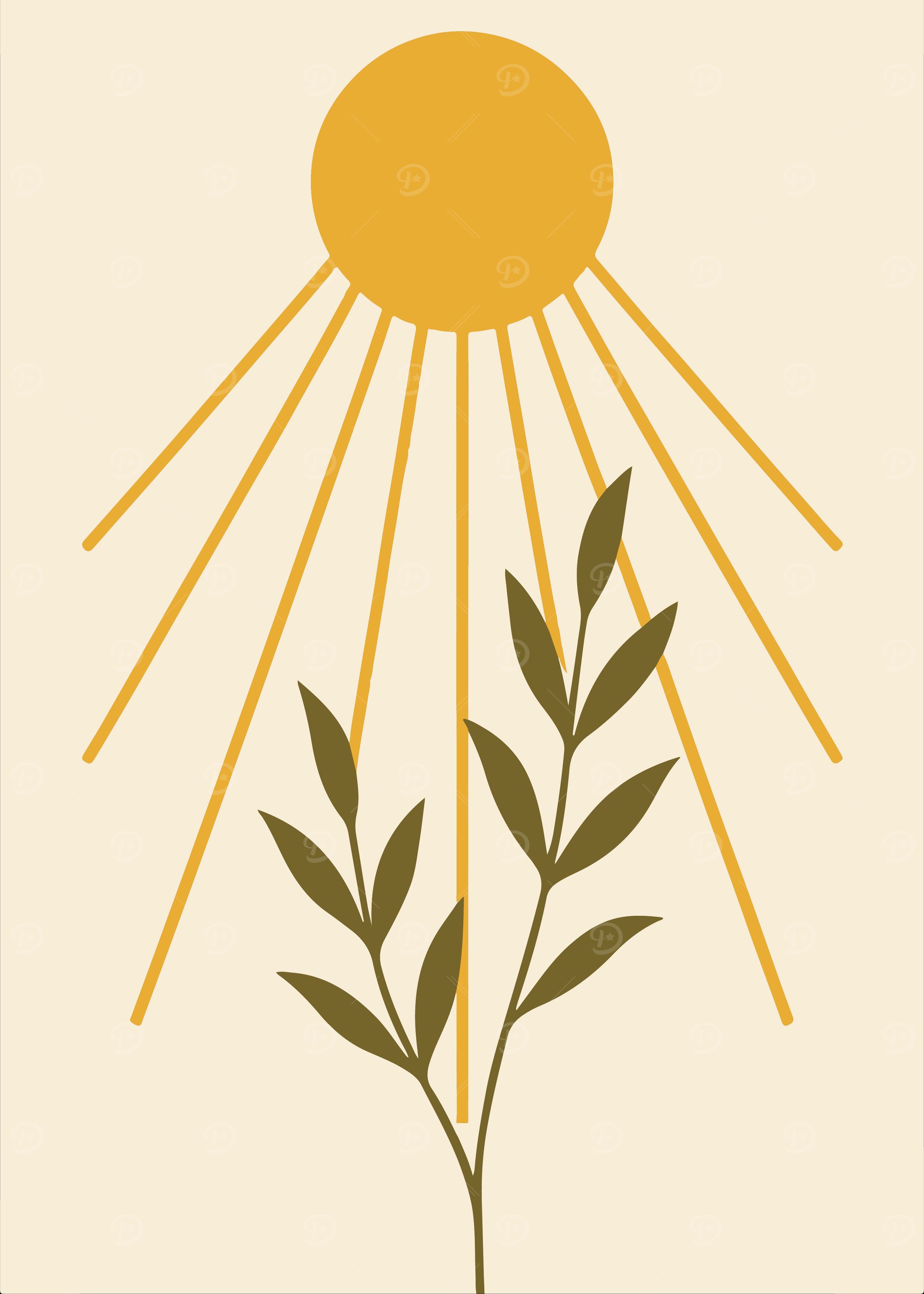 Minimalist Sun and Plant Illustration