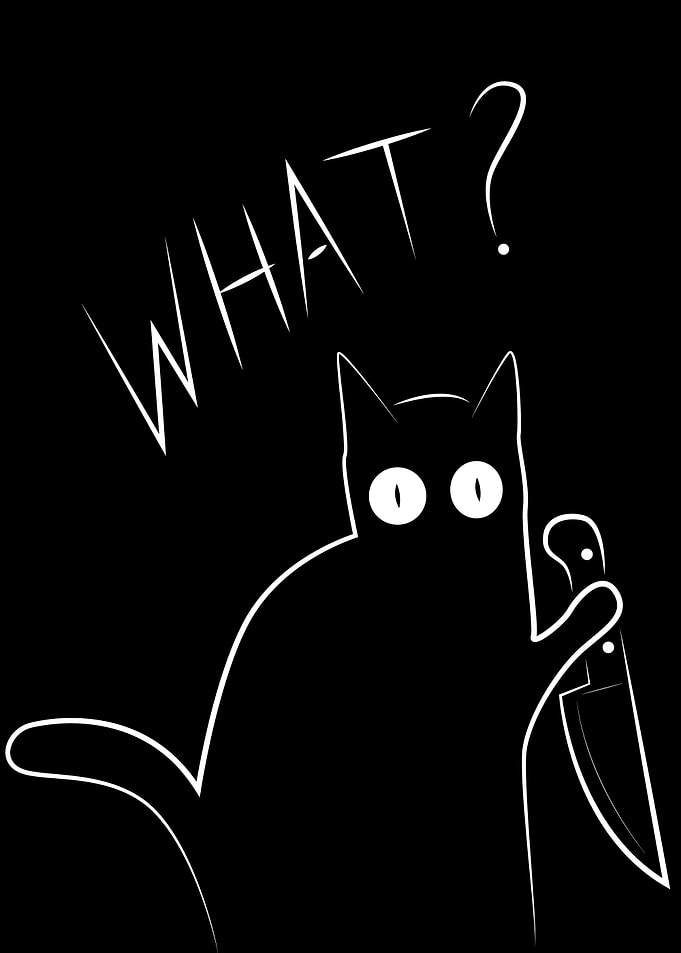 Surprised Cat