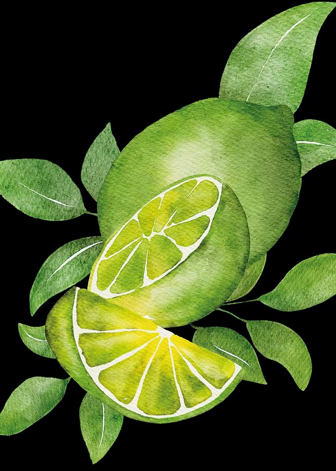 Watercolor Limes and Leaves on Black