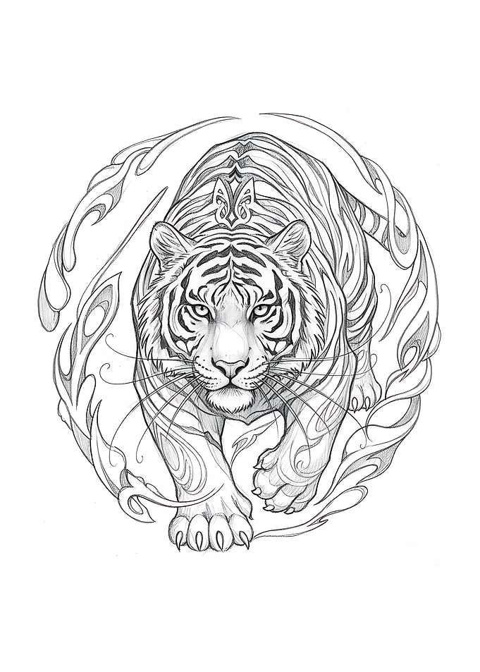 Tiger Sketch with Ornamental Circle
