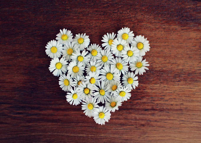 Daisy Heart on Wood