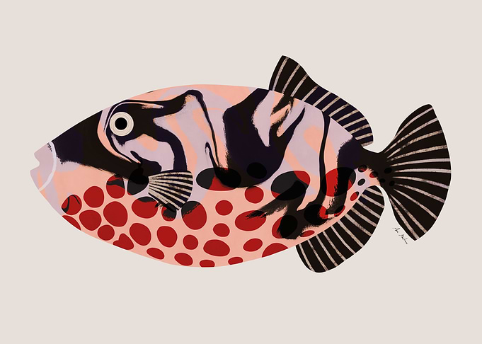 Stylized Fish Illustration