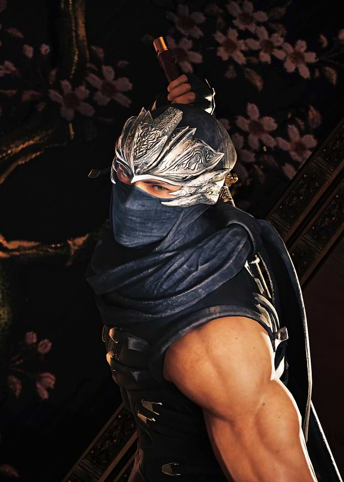 Ninja Gaiden Ryu Hayabusa