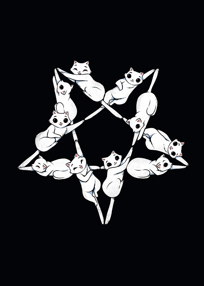Where the cats go at night