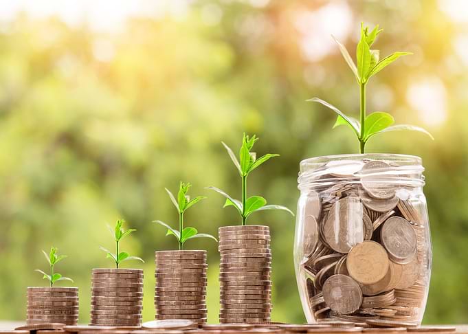 Money Growth Concept with Coins and Plants