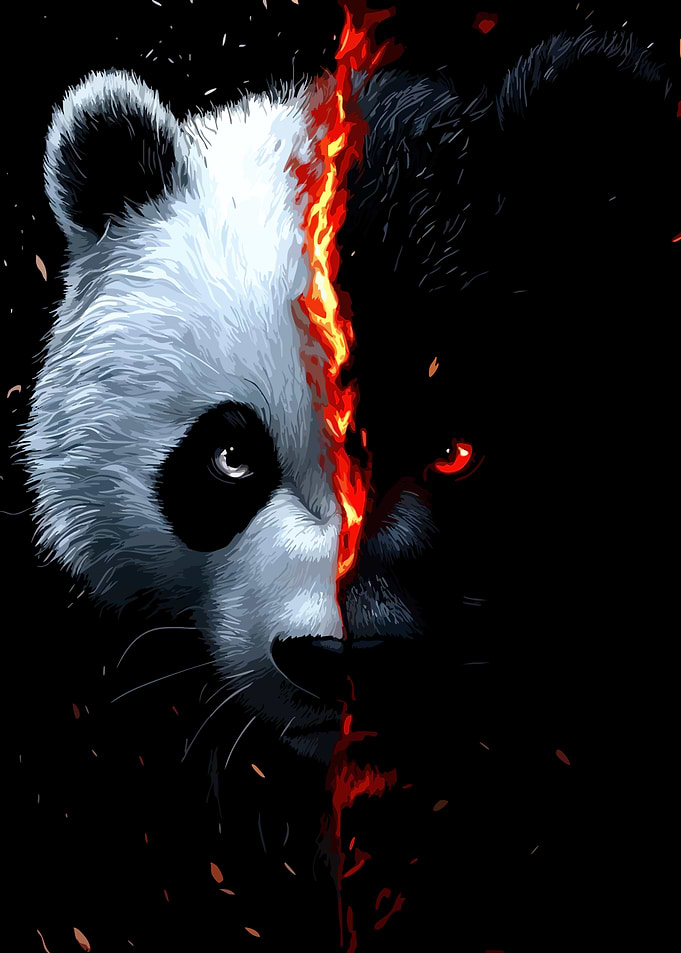 Panda and Black Bear with Fire