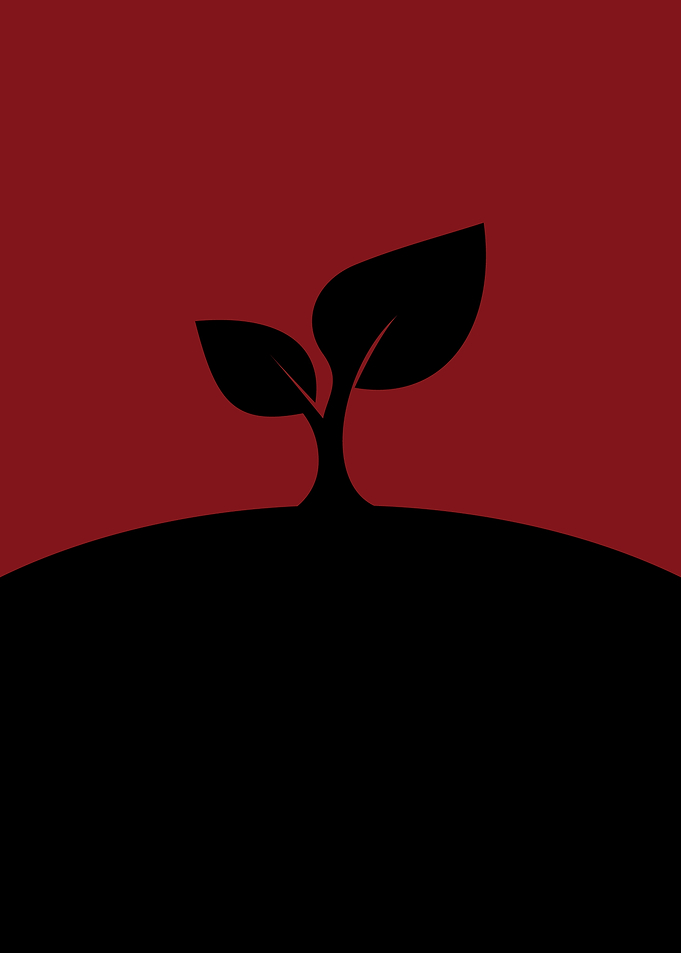 Minimalist Sprout Illustration