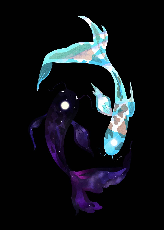Yin Yang Koi Fish Illustration