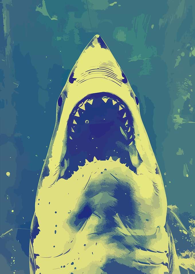 Shark with Open Mouth