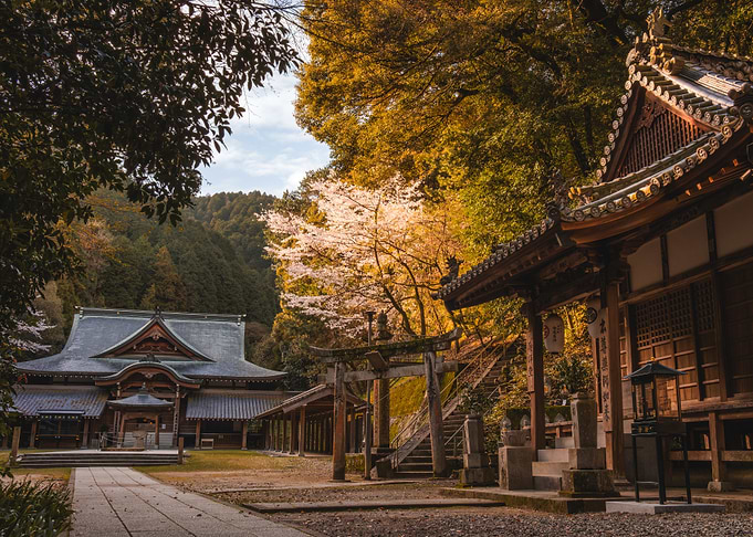 Japanese Forest Temple in Shikoku