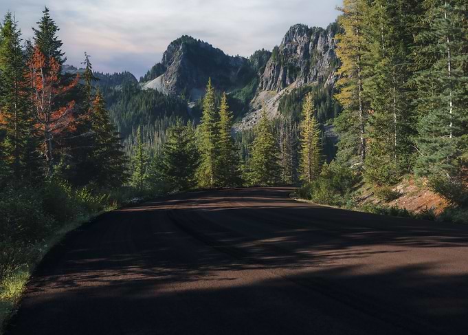 A Journey Through Shadow and Light
