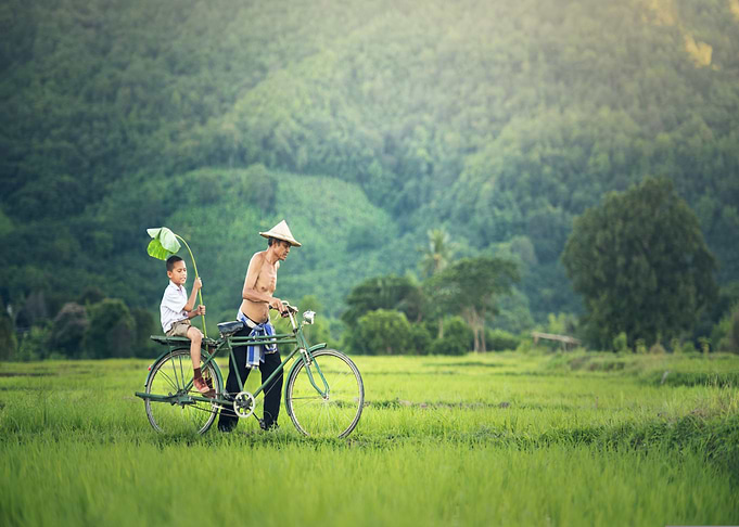 Father and Son on Bicycle in Field