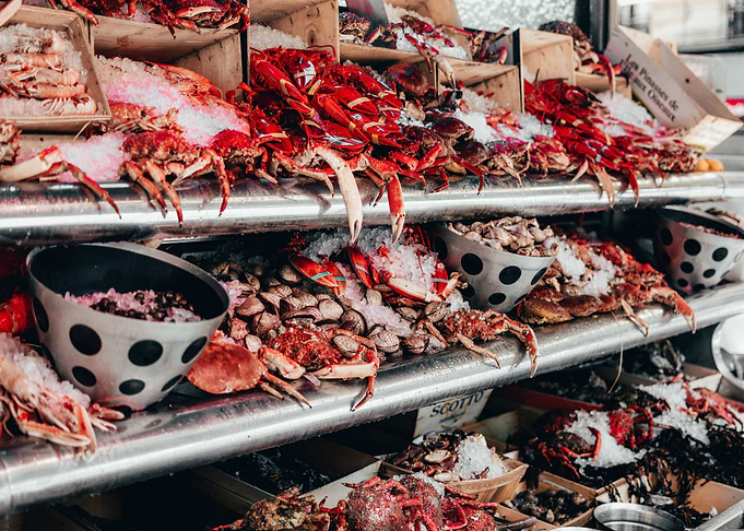 Fresh Seafood Display at Market