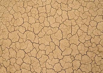 Cracked Earth Texture