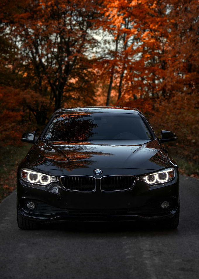 Black BMW in Autumn Landscape