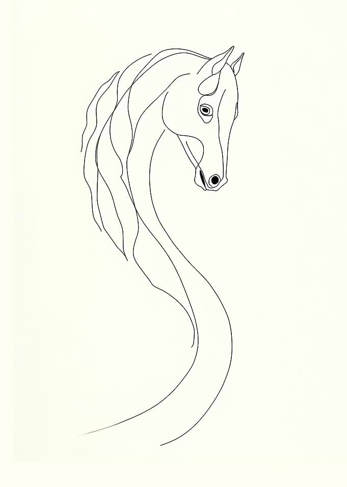 Mythical Snake Horse Creature Line Art