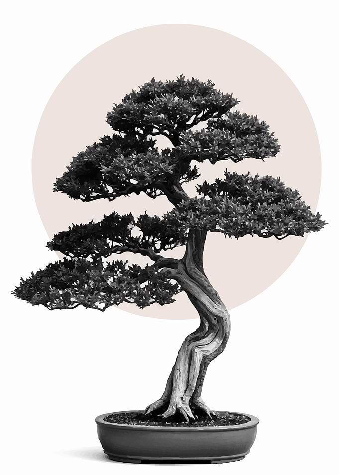 Monochrome Bonsai Tree with Circle Backdrop